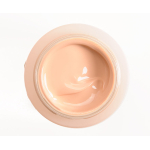 Shiseido Future Solution Lx Total Radiance Foundation Skingenecellenmei 30Ml - Image 10