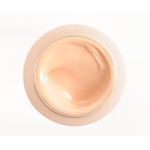 Shiseido Future Solution Lx Total Radiance Foundation Skingenecellenmei 30Ml - Image 11