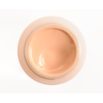 Shiseido Future Solution Lx Total Radiance Foundation Skingenecellenmei 30Ml - Image 12